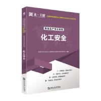 正版新书]中级注册安全工程师2025教材注安师教材2025年:化工安