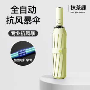自动伞004