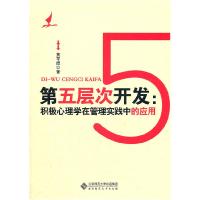 正版新书]第五层次开发-积极心理学在管理实践中的应用黄亨煜978