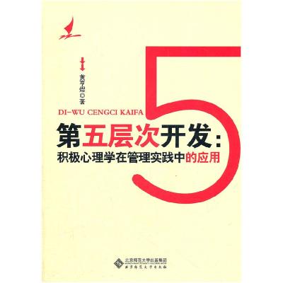 正版新书]第五层次开发-积极心理学在管理实践中的应用黄亨煜978