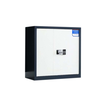 DXBG保密柜财务档案柜文件柜办公室资料储物柜保险柜矮柜灰白-国保密码锁