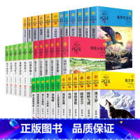 [全套36册]沈石溪动物小说 [正版]沈石溪动物小说品藏书系列全集36册 斑羚飞渡第七条猎狗后一头战象雪豹悲歌珍藏版全套