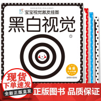 海润阳光 宝宝视觉激发挂图 套装共4册 0-3岁宝宝视觉激发训练 宝宝识色 幼儿图形认知挂图 彩色视觉 黑白视觉 婴幼儿