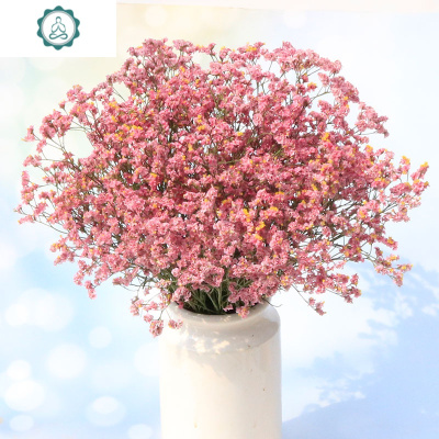 满天星花束真花装饰摆件网红ins风鲜花风干插花勿忘我论斤卖封后水晶草粉色黄色干花包