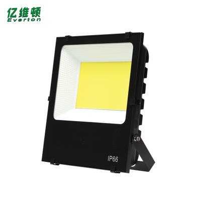 亿维顿 LED投光灯 150W 个