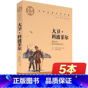 [正版]大卫科波菲尔 世界文学名著书籍 全套经典原著外国 书高中生中学生课外必读小说原版 名家名译 大卫·科波菲尔