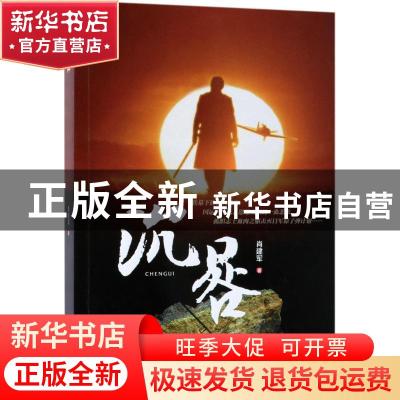 正版 沉晷 肖建军著 金城出版社 9787515515724 书籍