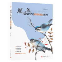 正版新书]魔法色超写实彩铅技法教程王晓雪9787568066075