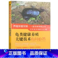 [正版]龟类健康养殖关键技术有问必答 高效养龟鳖水产养殖书籍大全轻松掌握龟鳖健康养殖书大全 乌龟养殖书 养龟与疾病防治