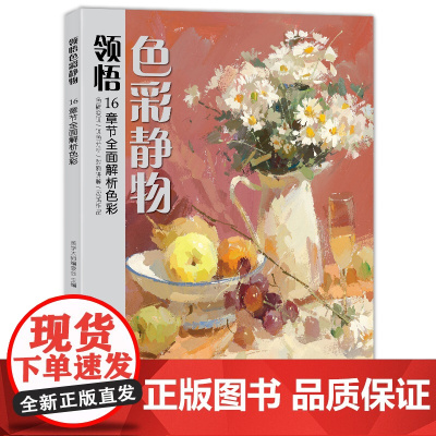 美学大师 领悟色彩静物书籍 大八开临摹范本sh