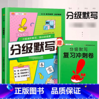 [分级默写]语文 二年级下 [正版]2023新版分级默写计算能手一年级二年级上册三四五六下册语文数学人教版学霸分级口算小