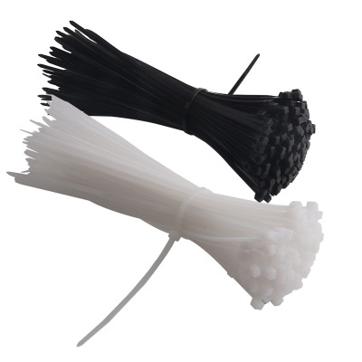 XD JX.XINGDIAN 尼龙扎带 5*250 100条/袋