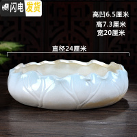 三维工匠多肉大口径花盆大水培碗莲铜钱睡莲盆水仙水培植物水养睡莲荷花 X-204淡青 无孔水培花盆容器