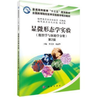 音像显微形态学实验:组织学与胚胎学分册李美香,屈丽华主编