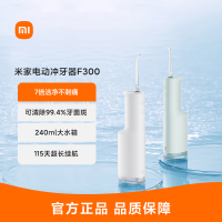小米米家电动冲牙器F300 绿色 家用便携水牙线口腔洁洗牙器