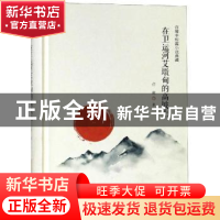 正版 在卫运河艾墩甸的高坡上 许辉 安徽文艺出版社 978753966288