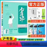 物理 八年级下 [正版]2024新版少年班八年级下册物理沪粤版HY 初二八下物理8年级下册同步练习册初中必刷题初一初二初