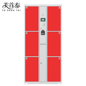芙首泰电子存包柜指纹密码6门850*460*1800mm台