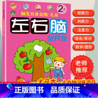 [正版]2-3岁儿童左右脑全脑智力开发抓住脑发育黄金期均衡开发大脑潜能逻辑思维训练书三两岁宝宝书籍益智早教书本专注力记