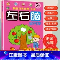 [正版]2-3岁儿童左右脑全脑智力开发抓住脑发育黄金期均衡开发大脑潜能逻辑思维训练书三两岁宝宝书籍益智早教书本专注力记