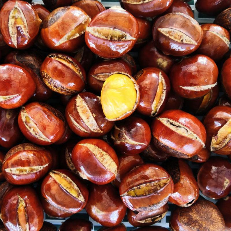 开口糖炒栗子炒熟炒板栗炒熟栗子熟糖炒栗子糖炒板栗即食板油栗