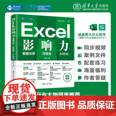 Excel影响力 数据分析 可视化 AI办公 熊王 著 计算机与互联网