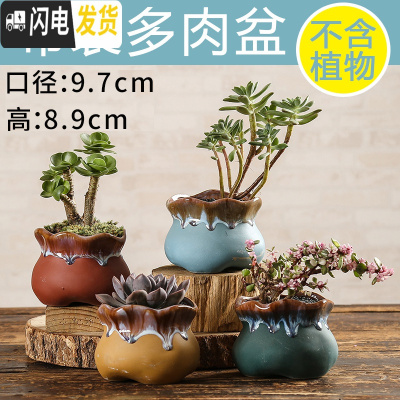 三维工匠多肉花盆陶瓷创意个性粗陶肉肉植物盆器大口径小花盆 明黄色布袋4个 中小花盆容器