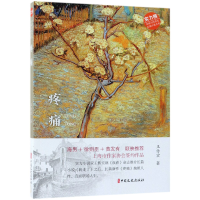 音像疼痛/实力榜中国当代作家长篇小说文库王传宏