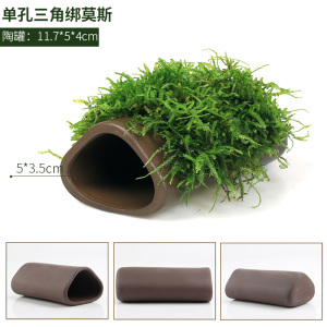 鱼缸造景莫斯水草陶罐躲避洞鱼虾躲避屋慈鲷罐水晶虾窝繁殖罐虾罐