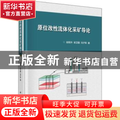 正版 原位改性流体化采矿导论 赵阳升,梁卫国,冯子军著 科学出