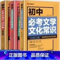 初中语文知识大全(全套3册) 初中通用 [正版]初中名著导读考点精练初中必背古诗文133篇 七八九年级文化文学常识积累中