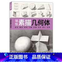 [正版]领悟素描几何体sh