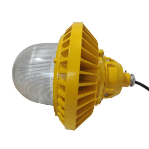 LHDQ 领航电器 防爆平台灯 LHB8620 100W 220V 冷光6000K IP66