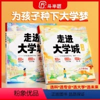 走进大学城(上册+下册) [正版]斗半匠走进大学城百所名校解析全套211高考志愿填报指南2024中国大学院校介绍成为学霸
