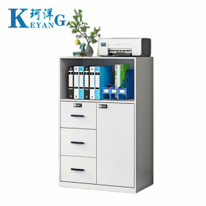 珂洋 铁皮柜