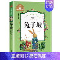 兔子坡 [正版]小王子木偶奇遇记洋葱头历险记二年级三年级必读课外书注音版6-7-8岁儿童文学小学生阅读书籍少儿读物绘本故