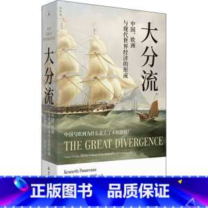 [正版]大分流 中国、欧洲与现代世界经济的形成 (美)彭慕兰 着 黄中宪 译 世界通史经管、励志 书店图书籍 北京日报出