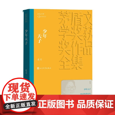 少年天子 凌力 著 小说