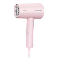 飞科电吹风FH6278