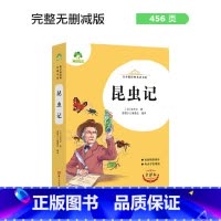昆虫记 [正版]朝花夕拾西游记国一初中小学生课外阅读书籍世界名着爱的教育鲁滨逊漂流记三四五六年级课外书经典小英雄雨来城南