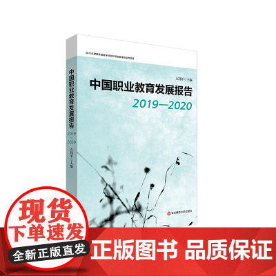 中国职业教育发展报告 2019—2020 宏观报告 区域报告 专题报告 国际比较报告 华东师范大学出版社