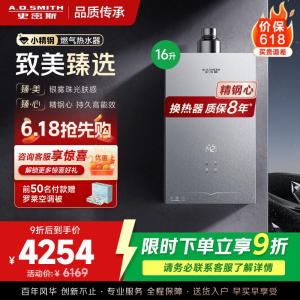 AO史密斯新品小体积16升精钢燃气热水器[小精钢EC5] 持久恒温 天然气 JSQ31-EC5