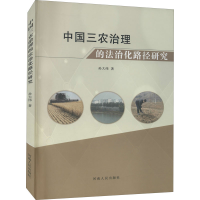 音像中国三农治理的法治化路径研究孙大伟