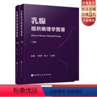 [正版]乳腺组织病理学图谱 上下册 乳腺组织学 乳腺疾病 病例讨论 高清图解 北京科学技术