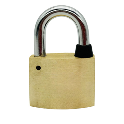 鸿灵睿芯 GS03 合金+铜 40mm*20mm 挂锁 (计价单位:个)黄色