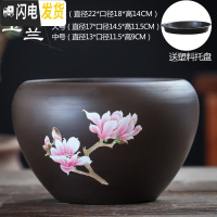 三维工匠紫砂花盆陶瓷大号特大中国风带托盘创意绿萝个性多肉花盆 玉兰花紫砂单个(送塑料托盘) 大花盆容器