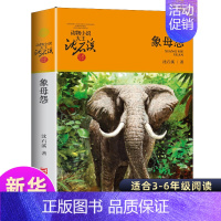 [正版]动物小说大王沈石溪品藏书系 象母怨 儿童书8-10-12周岁儿童文学三四五六年级小学生课外阅读故事书 书籍 沈石