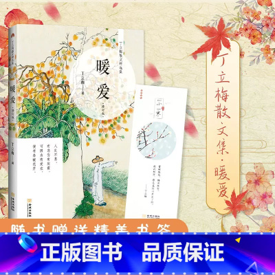 你的光影我的流年 [正版] 丁立梅散文作品集全套书籍 丁立梅十年散文集 暗香暖爱遇见 风会记得一朵花香向着美好奔跑等等待