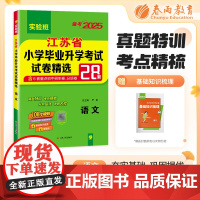 江苏省小学毕业升学考试试卷精选 语文 备考2025年新版小升初六年级小考基础知识梳理系统总复习真题卷招生卷分班卷