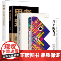 (套装4册)当下的力量+ 有钱人和你想的不一样 思考致富 财商 硬皮精装 埃克哈特·托利著张德芬 活在当下 自我实现励志